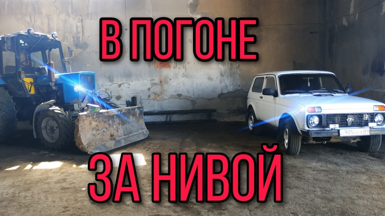 Почему ниву назвали нивой