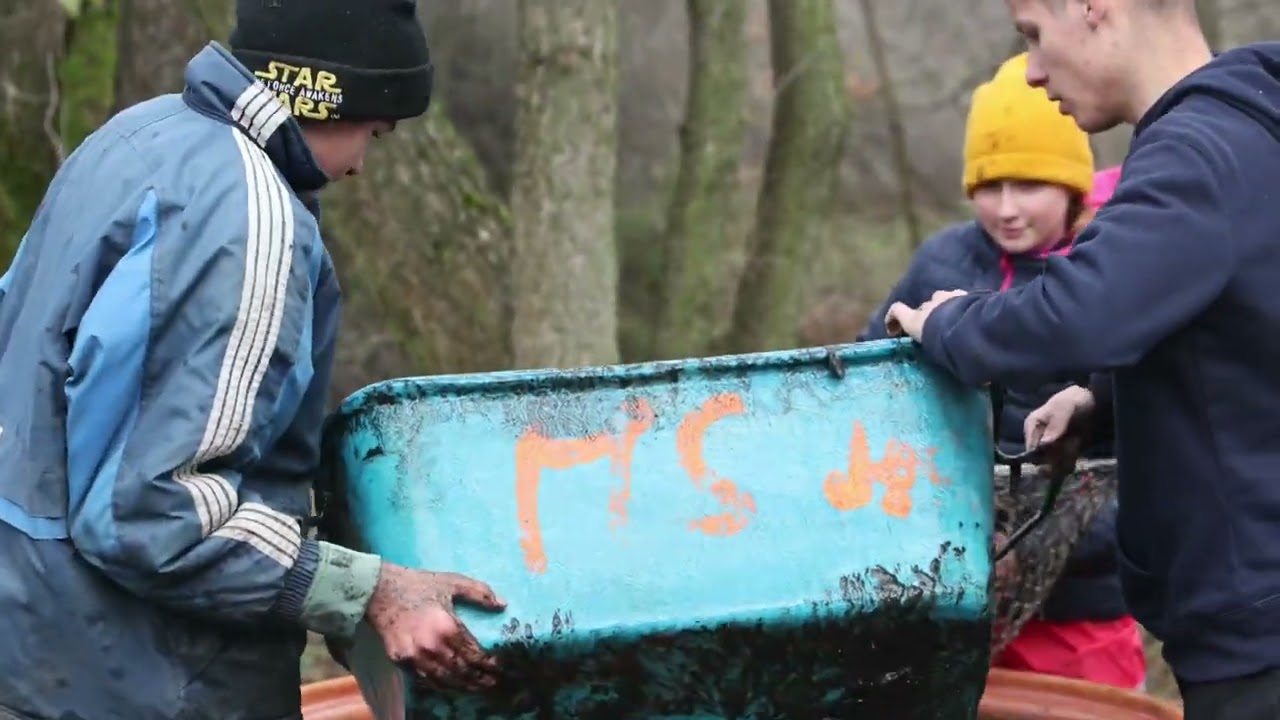 Výlov rybníku Zatáčka 2024