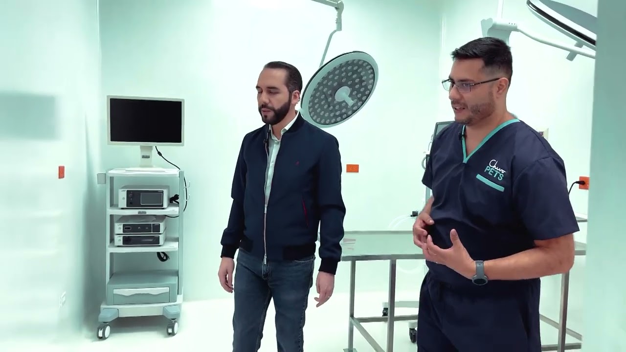 El presidente Nayib Bukele inaugura y recorre este miércoles el Hospital Veterinario Chivo Pets
