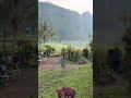 Suasana pagi dirumah Abah