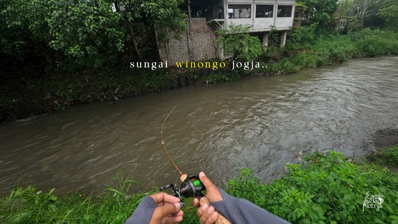 Berburu Hampala di Sungai Winongo Jogja | Spot Rahasia Tengah Kota Jogja!