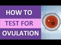 How to Take an Ovulation Test (Clearblue) for Pregnancy | Ovulation Symptoms &amp; Test Kit