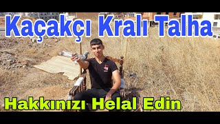 Kaçakçı Kralı Talha Hakkınızı Helal Edin Artık Çayırova Taklacı Güvercin