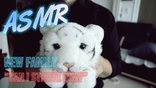 ASMR- 쓰담 쓰담 / NEW FAMILY / PLAYING WITH A LION DOLL / SOFT SPOKEN / KOREAN /