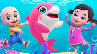 Baby Shark Dance Song New Compilation | Baa Baa Sheep Song | Nursery Rhymes &amp; Kids Songs | Bebe Bobo