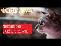 【守護スピ！ラジオ】猫は魔物？猫に纏わるスピリチュアルな話
