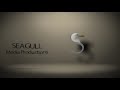 Seagull media productions