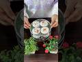 Veg Idli!! #youtubeshorts #shorts #youtube #food #cooking #foodie #viral