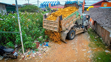 Start a New Project! Landfill on Flooded Land, Clear Forest by Dozer D20P Pushing Stone & 5Ton Truck