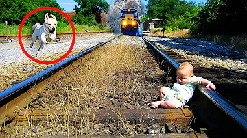 Jelikož se množí případy, kdy Kocour či kočka ztrácejí ve svých nových domovech?