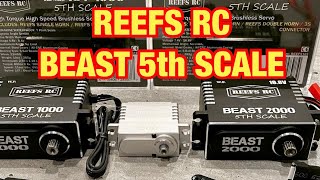 Reefs Beast 5Th Scale Servos