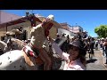 Sabado de Gloria en Jerez Zacatecas 2022 - ALMA Coronel