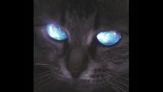 MONTAGEM CONGA CONGA (ULTRA SLOWED)