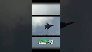 F 15EX  Why the Fleet Was Grounded & Boeing's Advantage