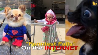 Best Of The Funniest Fails on the internet || Try Not To laugh *Impossible* Challenge (Part 13😂)