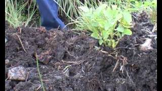 Gaelic Documentary: Lazy beds