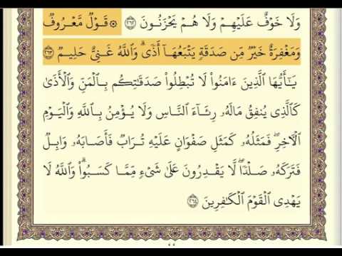 سورة البقرة ربع الحزب ٥ سعد الغامدي
