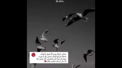 حالات واتساب قرآن كريم مقاطع قصيرة || القارئ سلمان العتيبي