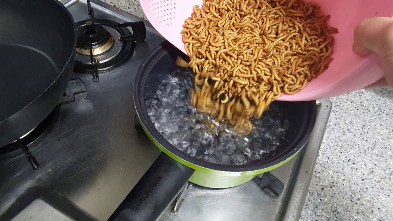 집에서 밀웜을 건조하여 먹자!!