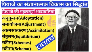 पियाजे के महत्वपूर्ण बिंदु |संतुलन,आत्मसात्करण, समायोजन, स्कीम,स्कीमा आदि