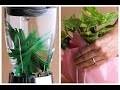 Planting Joy Through 9 Clever and Thoughtful Green Gifts 🪴