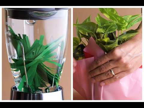 Planting Joy Through 9 Clever and Thoughtful Green Gifts 🪴