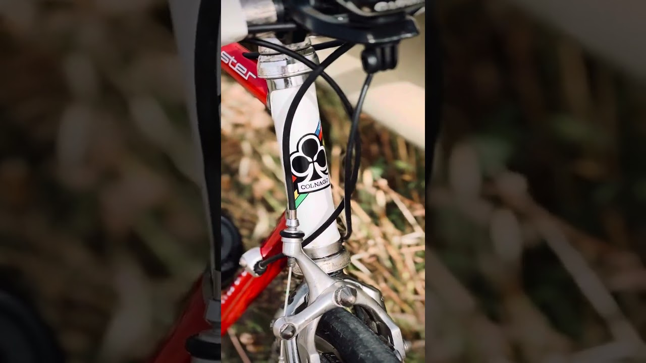 Colnago Master Team Malvor