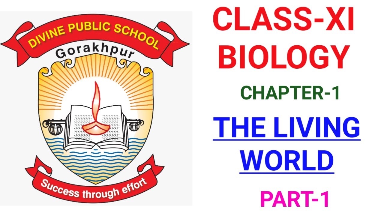 Class Xi Biology Chapter 1 The Living World Part 1 Youtube