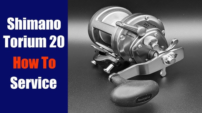 Shimano Torium Fishing reel how to take apart and service step by step 