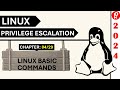 Linux privilege escalation 2024  c 429  linux basic commands  pentesthint