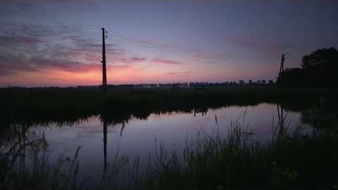 Vroege Vogels - Bokpalen voor boerenzwaluw