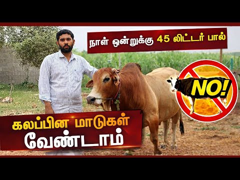 நாட்டின மாடுகள் அழிவை தடுத்த இளைஞர்..! சுத்தமான பால் கொடுத்த திருப்தி | Native Cow Farming Success