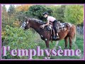 l' emphysème [ maladie courante du cheval ]