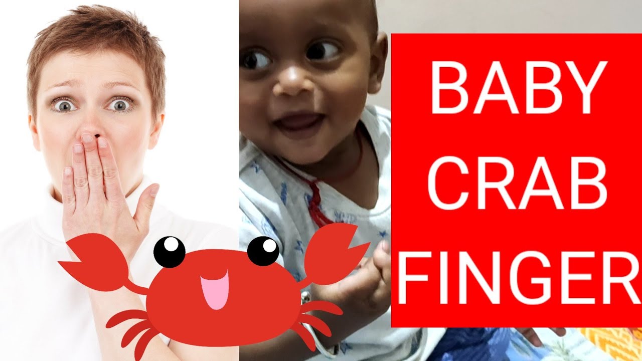 Baby Making Crab 🦀 Finger Crab Funny Video Kekda YouTube
