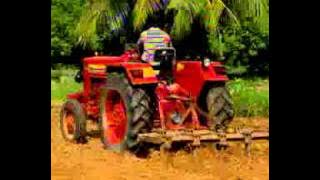 Verusanaga pantaku Nela Tayari (Land preparation for Groundnut)