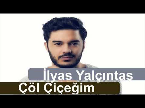 İlyas Yalçıntaş   Çöl Çiçeğim