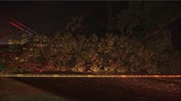 Tree falls on power lines, blocks road in Stone Mountain