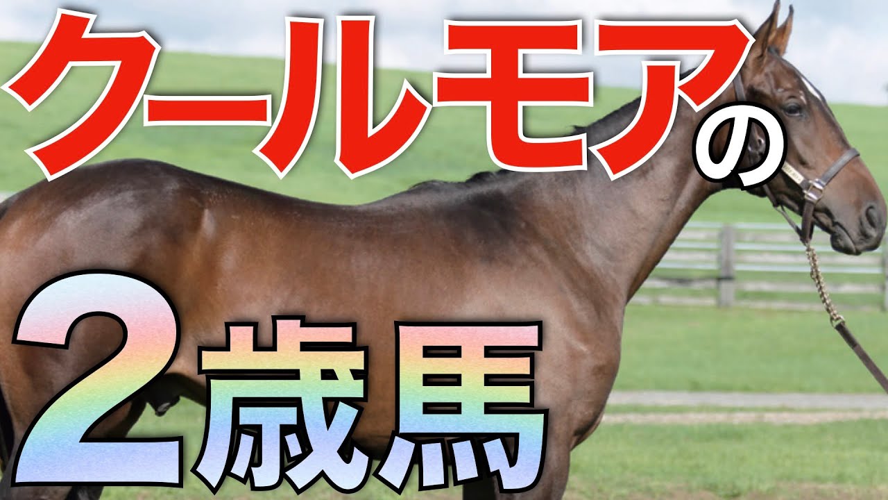日本の種牡馬も参戦！クールモアの2歳馬ラインナップが話題沸騰