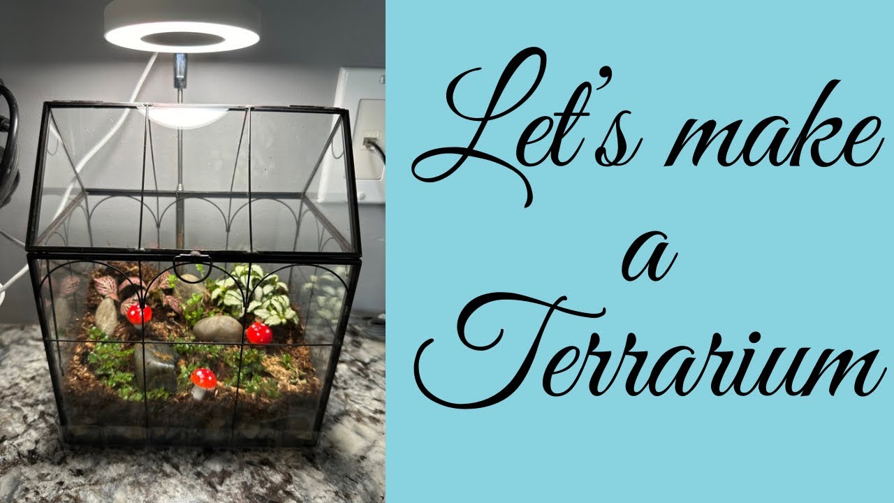 Let's Plant a Small Terrarium in Real Time
