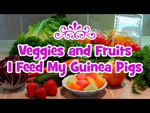 Veggies and Fruits I Feed My Guinea Pigs