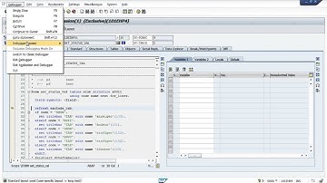 Debugging for Functional Consultants