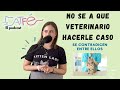 No sé a qué veterinario hacerle caso 🙀 | Ep.1 Catfe, el podcast
