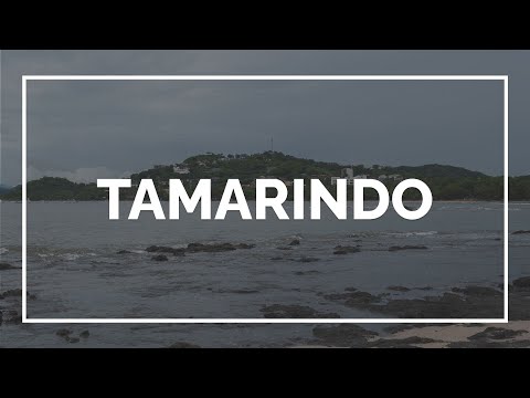 Tamarindo 2022