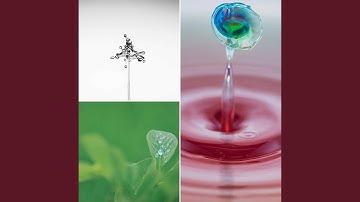 High-class Backdrops for December Rains