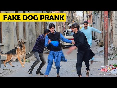 fake-dog-barking-prank---prank-in-sialkot-|-arp-sialkot