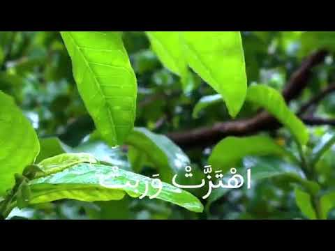 ومن آياته أنك ترى الأرض خاشعة فإذا أنزلنا عليها الماء اهتزت وربت إن الذي أحياها لمحيي الموتى