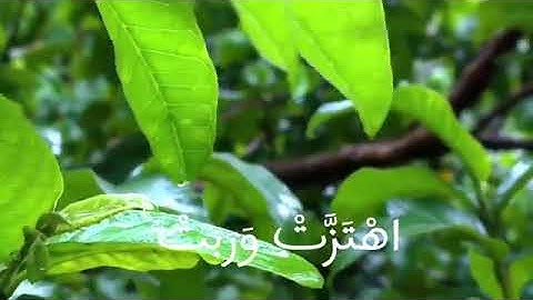 "ومن آياته أنك ترى الأرض خاشعة فإذا أنزلنا عليها الماء اهتزت وربت إن الذي أحياها لمحيي الموتى"