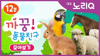 까꿍! 동물친구ㅣ자연관찰ㅣ모아보기2ㅣBabies&KidsㅣPikaboo! Animal friendsㅣDaekyo noriQ l 대교 노리Q