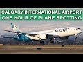 1+ HOUR of PLANE SPOTTING at CALGARY International Airport (YYC/ CYYC)