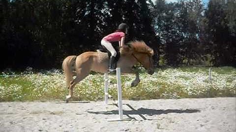 intro KeilirogPia.wmv